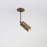 Adjustable Brass Spotlight on Drop Rod