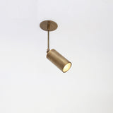 Adjustable Brass Spotlight on Drop Rod