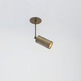 Adjustable Brass Spotlight on Drop Rod