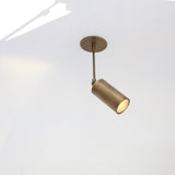 Adjustable Brass Spotlight on Drop Rod