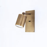 Adjustable Brass Wall Spotlight with Rectangular Backplate
