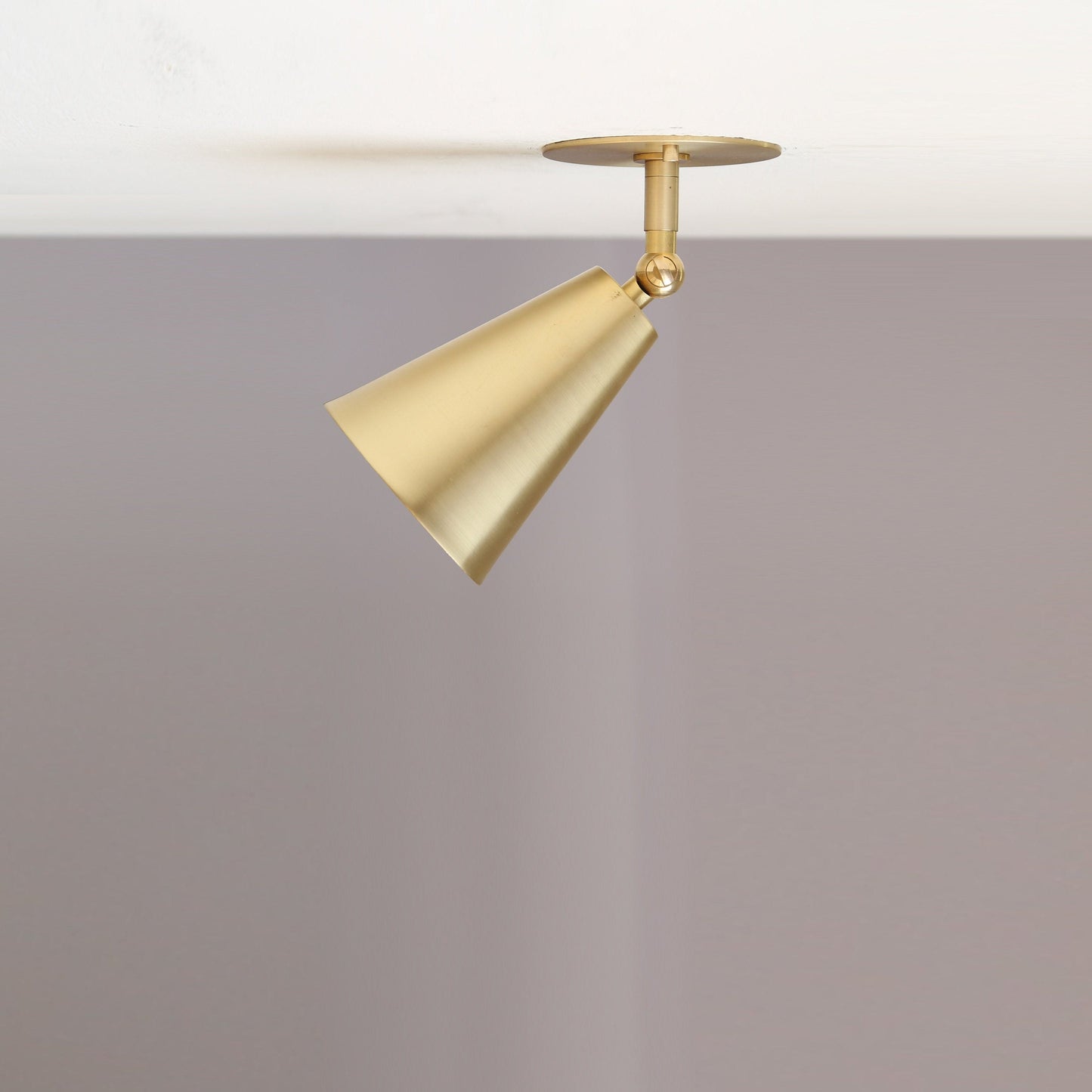 Adjustable Cone Ceiling Spotlight
