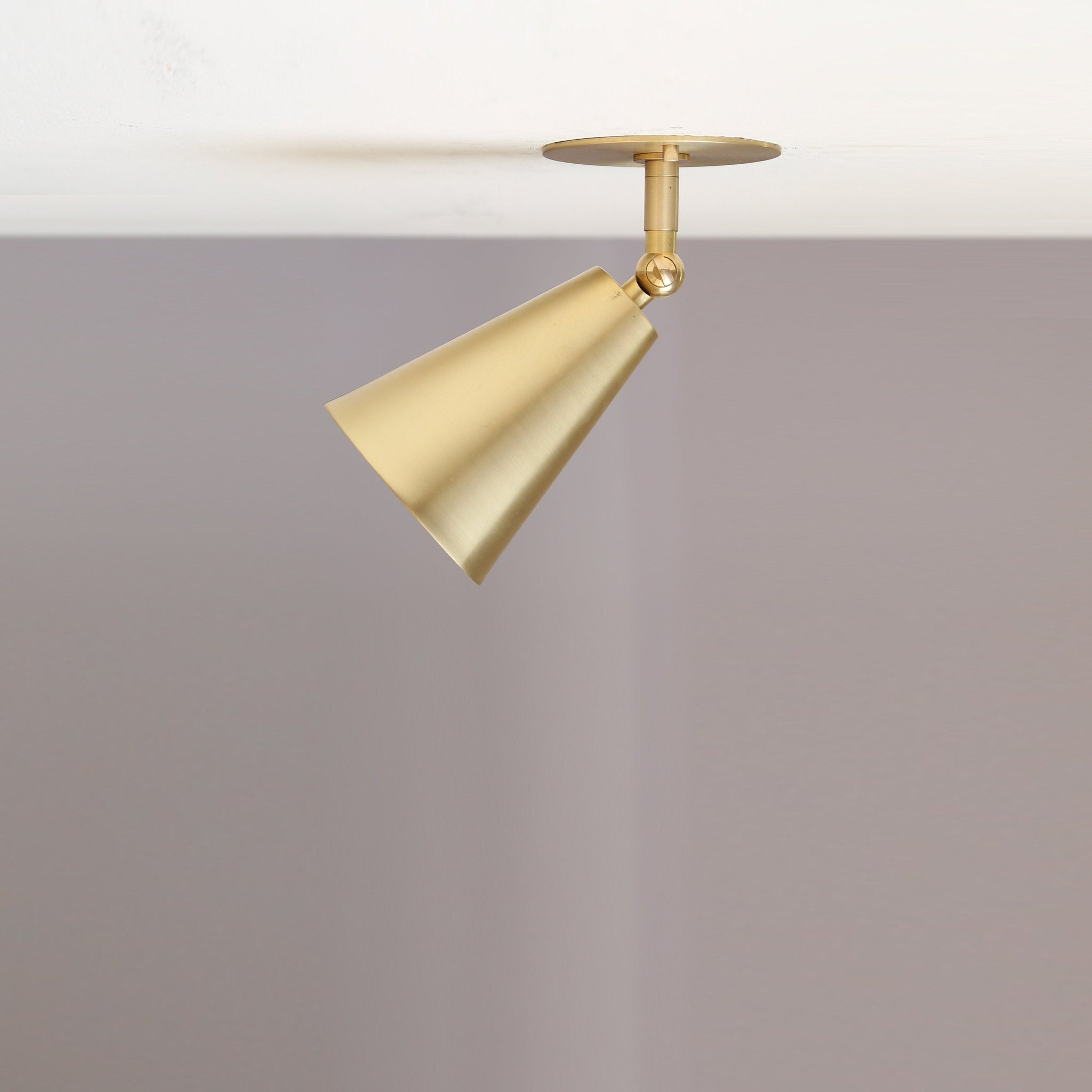 Adjustable Cone Ceiling Spotlight