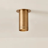 Berg Flush Mount - Designer Perforated Steel Downlight