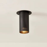 Berg Flush Mount - Designer Perforated Steel Downlight