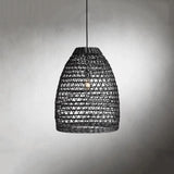 braemar outdoor black pendant