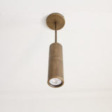 Brass Cylinder Ceiling Spotlight on Drop-Down Arm