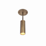 Brass Cylinder Ceiling Spotlight with Drop Rod