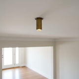 Brass Cylinder Ceiling Spotlight with Frosted Glass Lens
