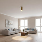 Brass Cylinder Ceiling Spotlight with Frosted Glass Lens