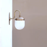 Brass Gooseneck Wall Sconce with Opal Capsule Shade