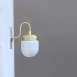Brass Gooseneck Wall Sconce with Opal Capsule Shade