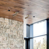directional lighting spot ceiling light
