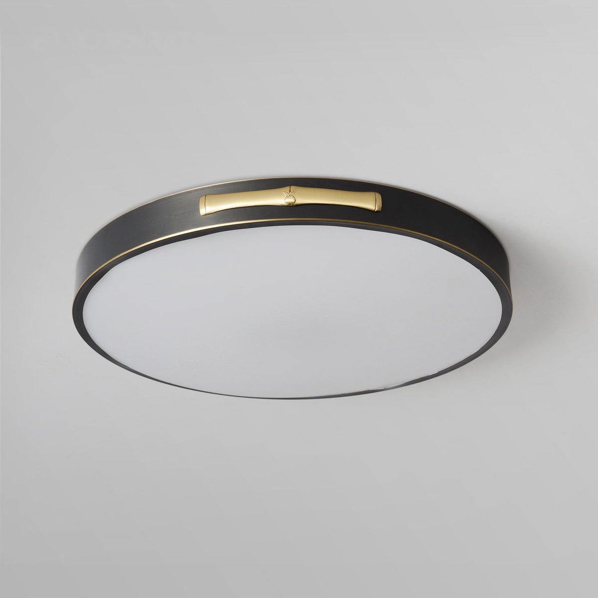 led ceiling fixture