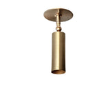 Double-Swivel Brass Cylinder Ceiling Spotlight