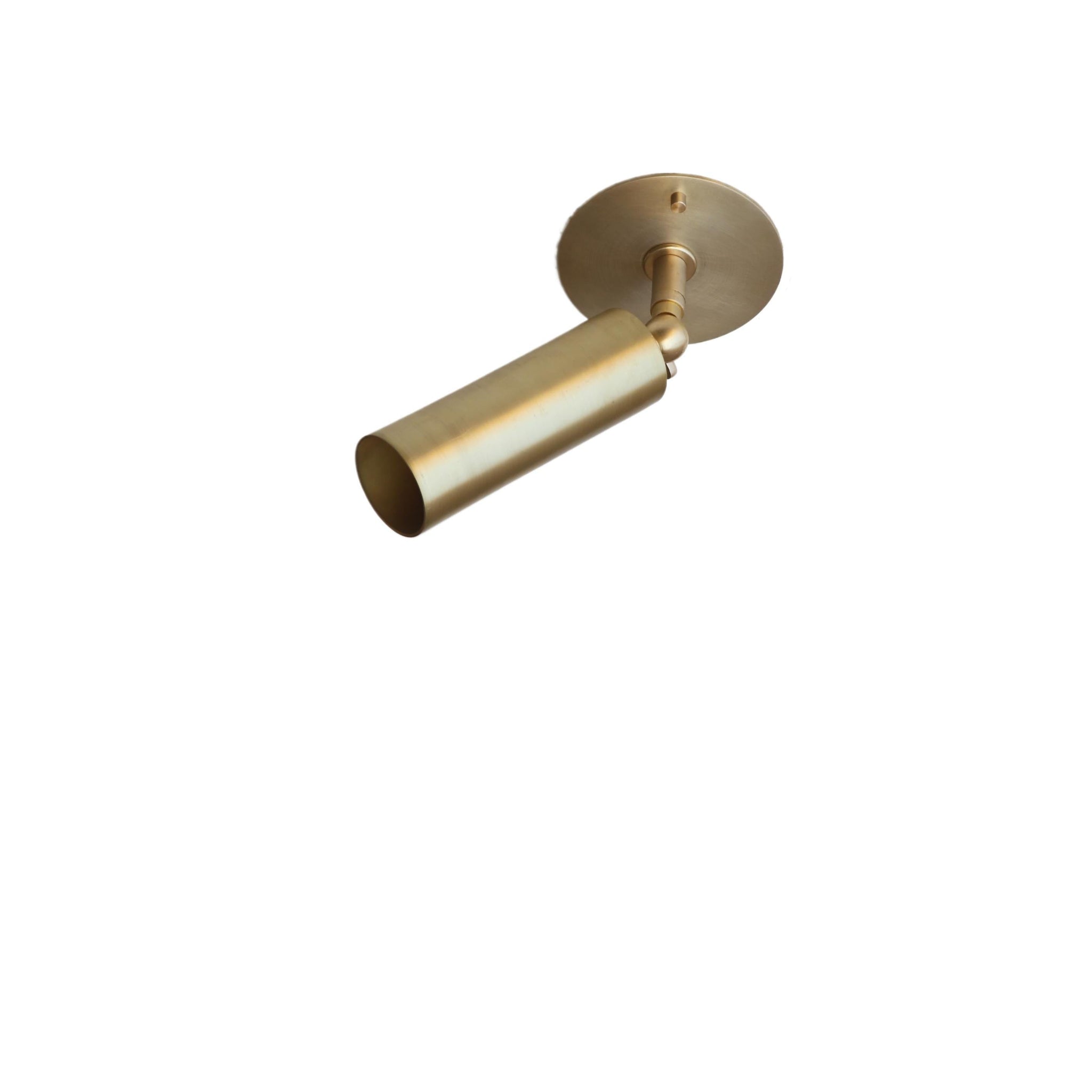 Double-Swivel Brass Cylinder Ceiling Spotlight