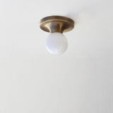 Globe Flush Mount Ceiling Light