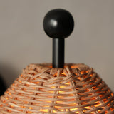 Layton Wall Sconce