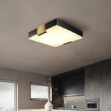 flush mount ceiling light