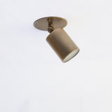 One-Light Adjustable Brass Ceiling Spot Light with Frosted Glass Lens