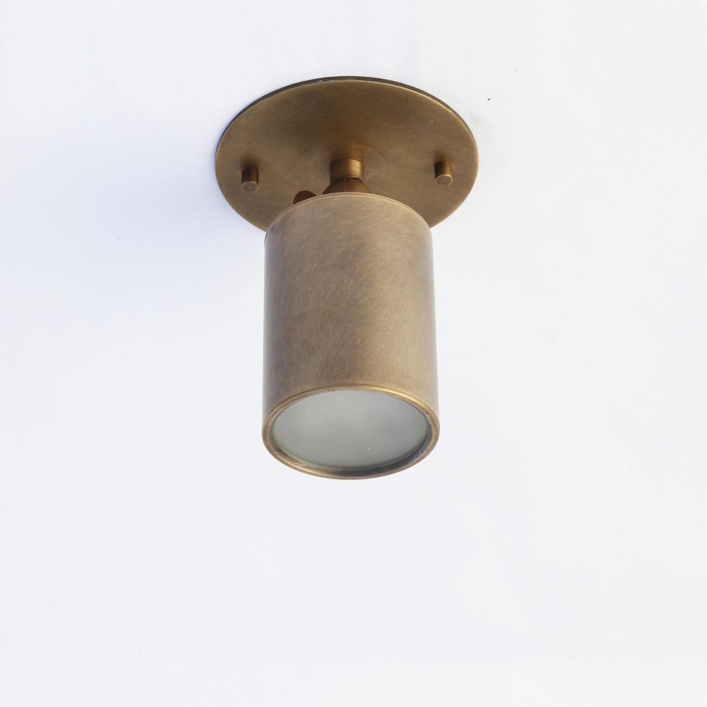 One-Light Adjustable Brass Ceiling Spot Light with Frosted Glass Lens