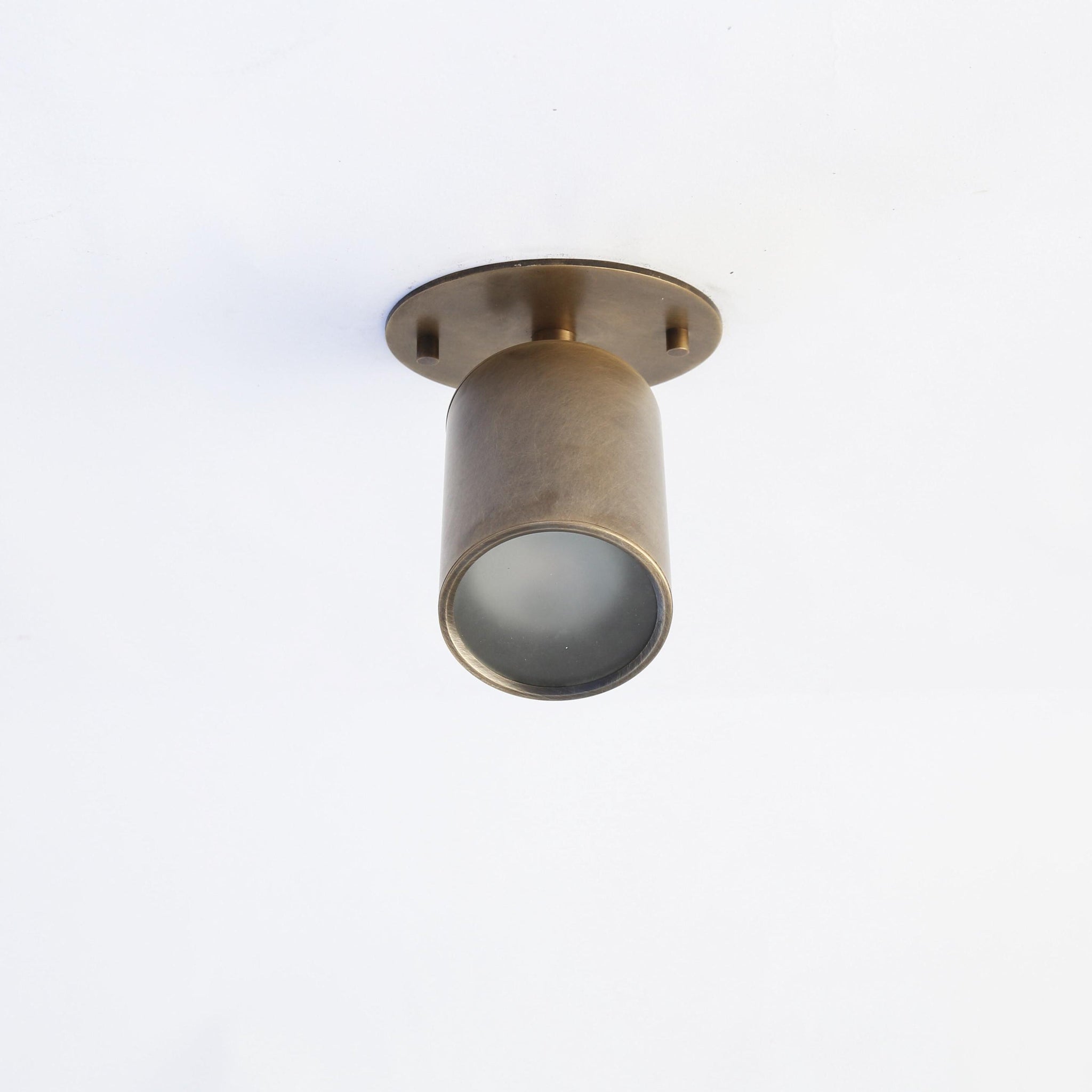 One-Light Adjustable Brass Ceiling Spot Light with Frosted Glass Lens