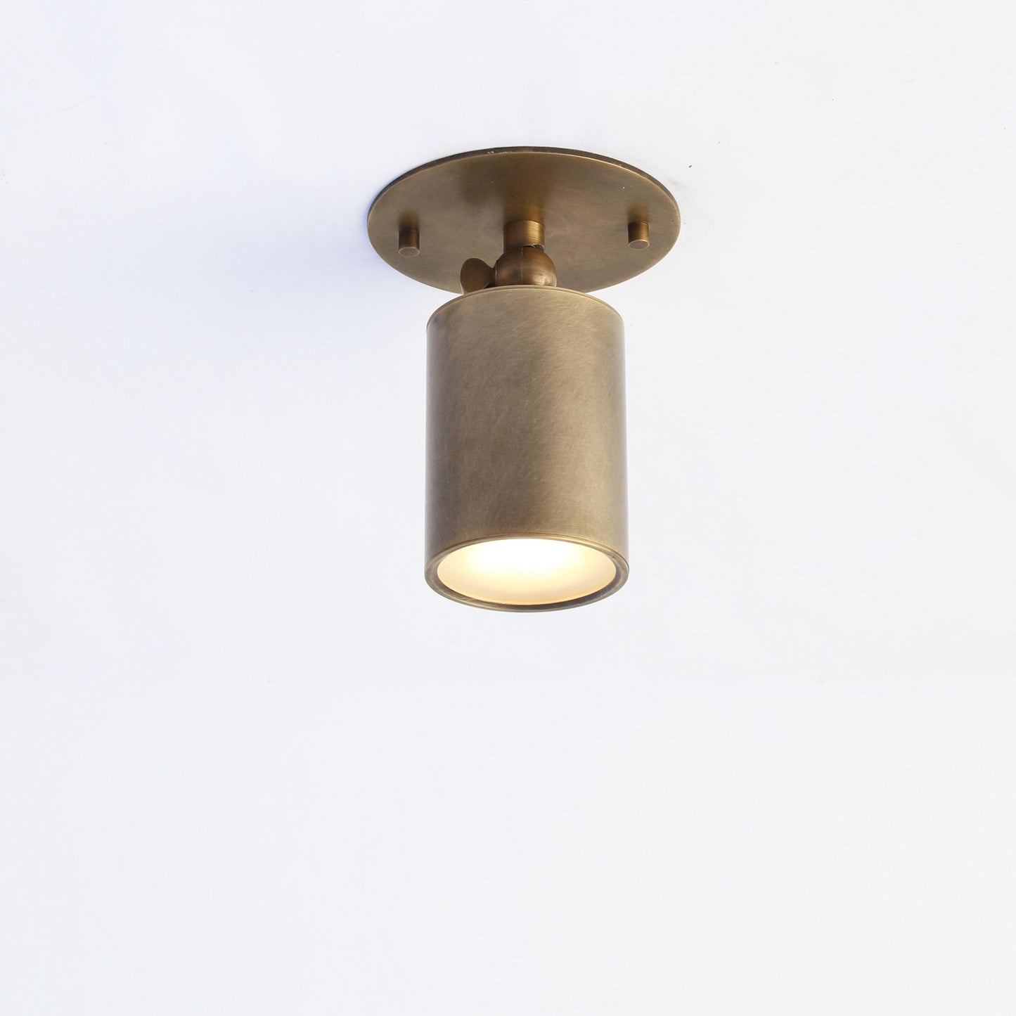 One-Light Adjustable Brass Ceiling Spot Light with Frosted Glass Lens