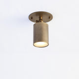 One-Light Adjustable Brass Ceiling Spot Light with Frosted Glass Lens