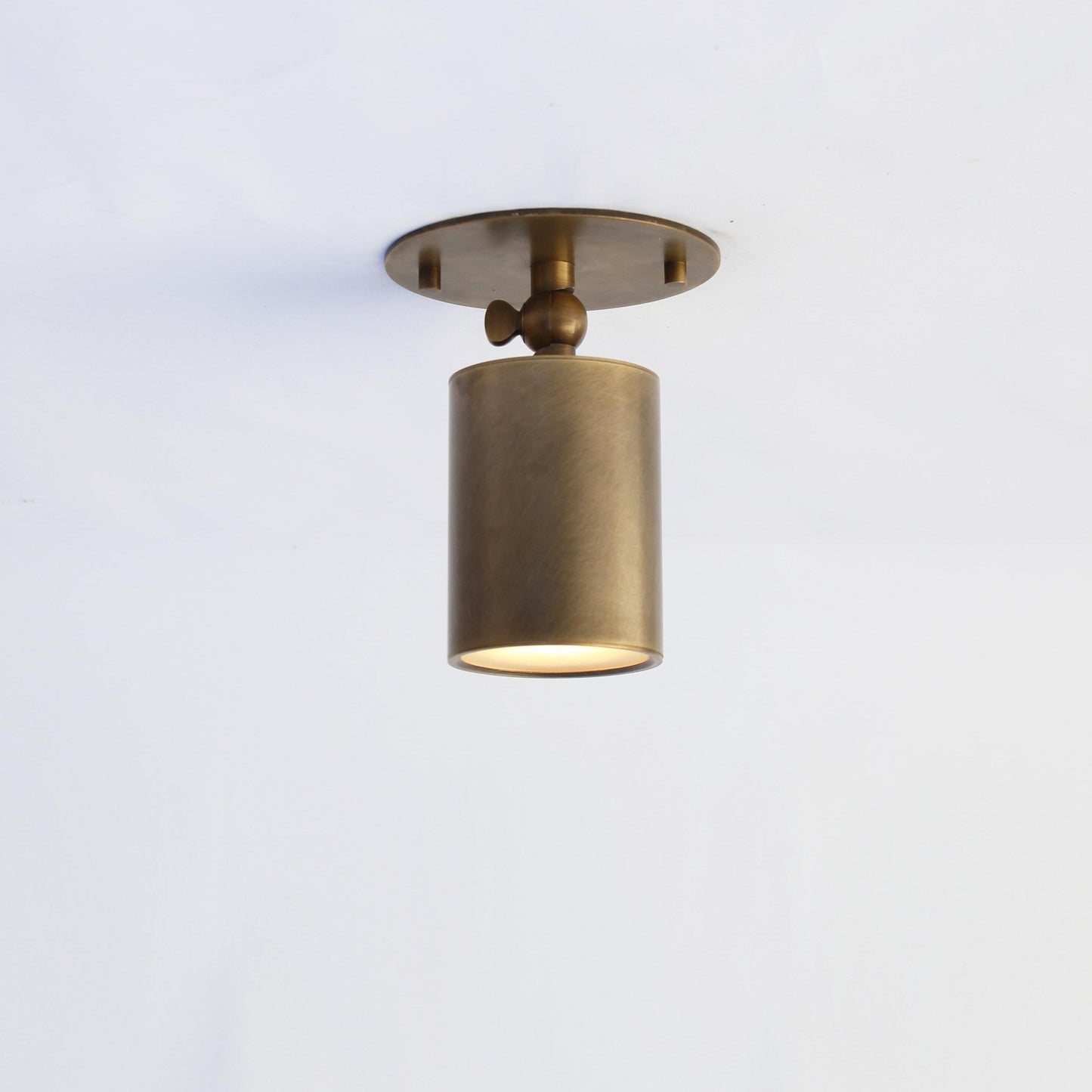 One-Light Adjustable Brass Ceiling Spot Light with Frosted Glass Lens