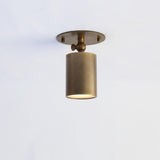 One-Light Adjustable Brass Ceiling Spot Light with Frosted Glass Lens