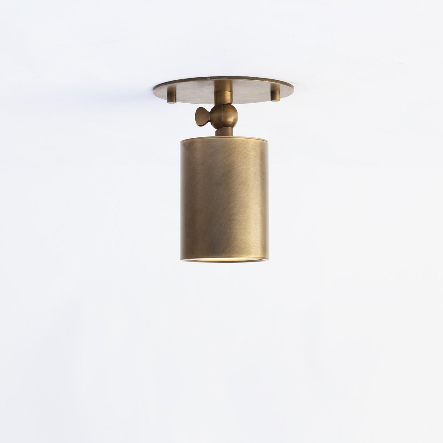 One-Light Adjustable Brass Ceiling Spot Light with Frosted Glass Lens