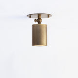 One-Light Adjustable Brass Ceiling Spot Light with Frosted Glass Lens