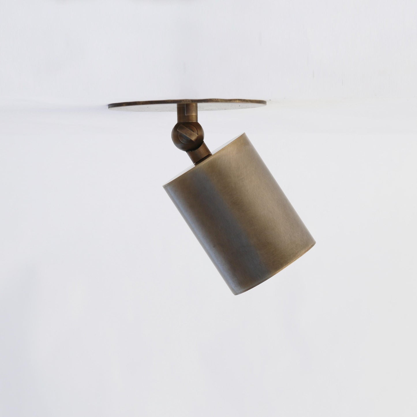 One-Light Adjustable Brass Ceiling Spot Light with Frosted Glass Lens