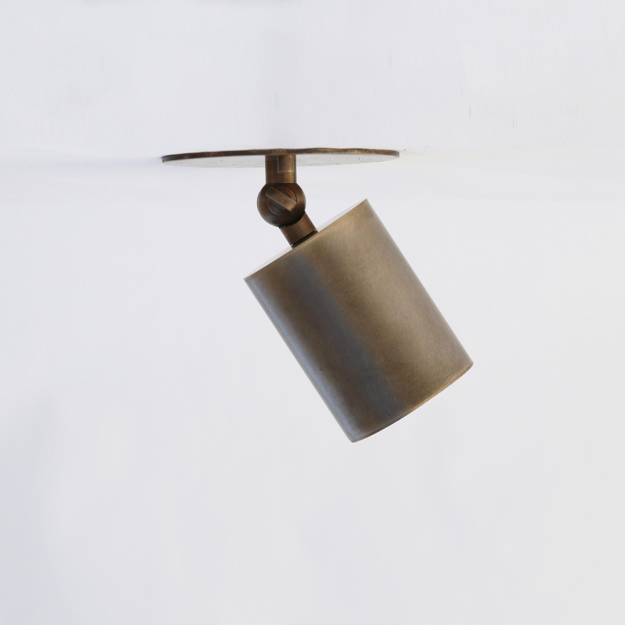 One-Light Adjustable Brass Ceiling Spot Light with Frosted Glass Lens