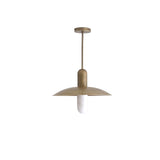 One-Light Brass Coolie Pendant