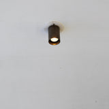 One-Light Brass Cylinder Ceiling Spot Light