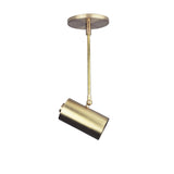 One-Light Brass Cylinder Ceiling Spotlight on Stem