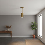 One-Light Brass Cylinder Ceiling Spotlight with Drop Rod