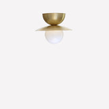 One-Light Brass Disc Flush Mount Ceiling Light with Opal Globe