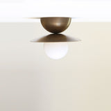 One-Light Brass Disc Flush Mount Ceiling Light with Opal Globe