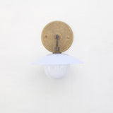 One-Light Brass Gooseneck Sconce with Milk Glass Shade and Opal Globe
