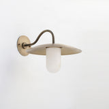 One-Light Brass Gooseneck Wall Sconce with Alabaster Shade