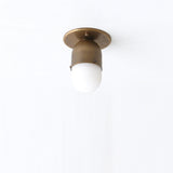 One-Light Brass Wall or Ceiling Light with Alabaster Shade