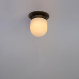 One-Light Mini Glass Shade Flush Mount Ceiling Light