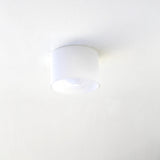 One-Light Opal Glass Cylinder Flush Mount Ceiling Light