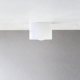 One-Light Opal Glass Cylinder Flush Mount Ceiling Light