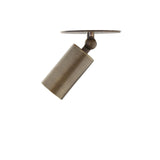 One-Light Small Adjustable Brass Spotlight Flush Mount