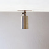 One-Light Small Adjustable Brass Spotlight Flush Mount