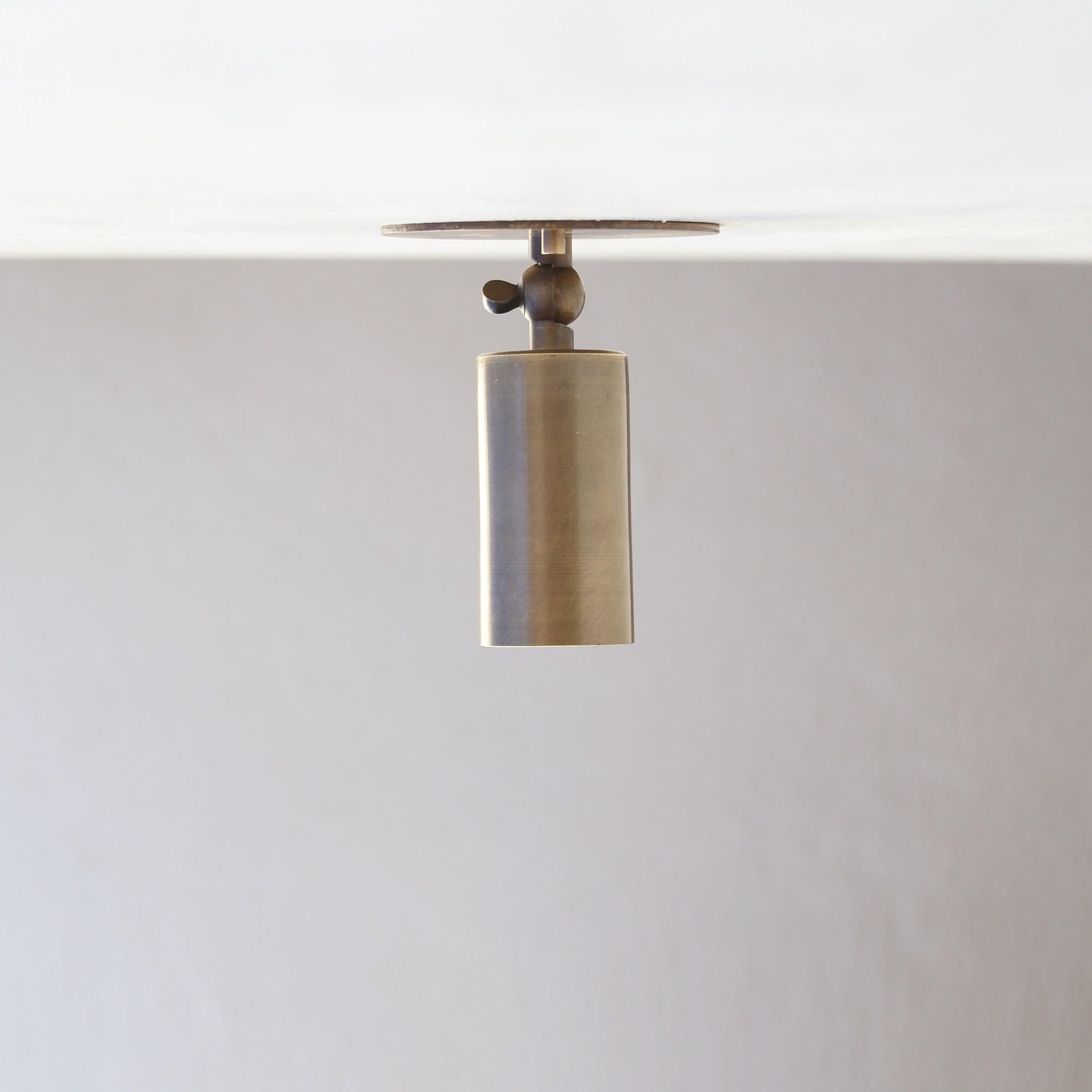 One-Light Small Adjustable Brass Spotlight Flush Mount