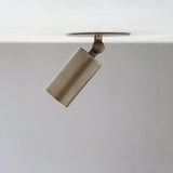 One-Light Small Adjustable Brass Spotlight Flush Mount